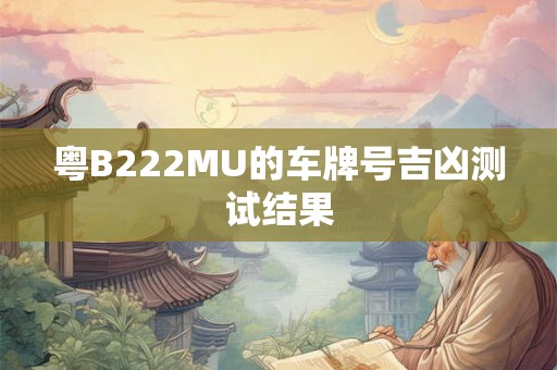 粤B222MU的车牌号吉凶测试结果