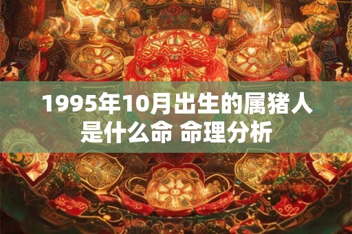 1995年10月出生的属猪人是什么命 命理分析