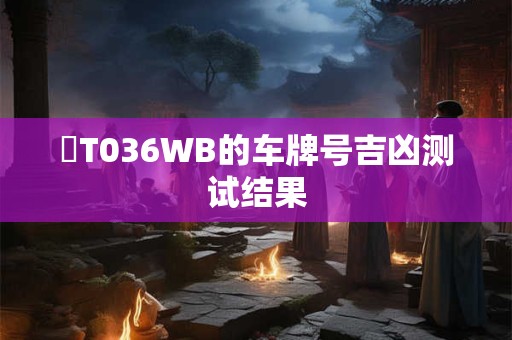 粵T036WB的车牌号吉凶测试结果