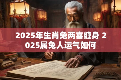 2025年生肖兔两喜缠身 2025属兔人运气如何