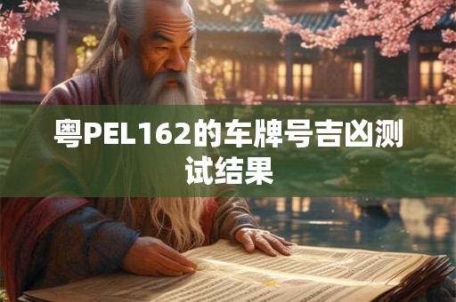 粤PEL162的车牌号吉凶测试结果