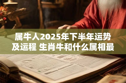 属牛人2025年下半年运势及运程 生肖牛和什么属相最不和