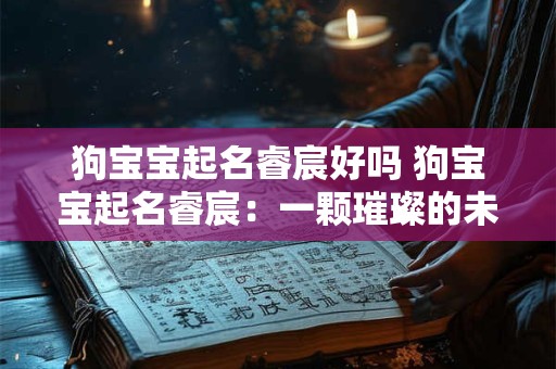 狗宝宝起名睿宸好吗 狗宝宝起名睿宸：一颗璀璨的未来之星