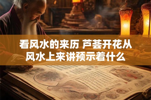 看风水的来历 芦荟开花从风水上来讲预示着什么 看风水的来历 芦荟开花从风水上来讲预示着什么