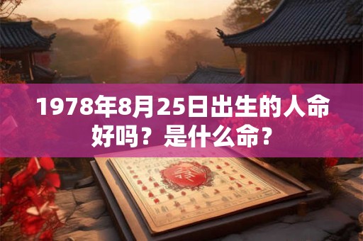 1978年8月25日出生的人命好吗？是什么命？