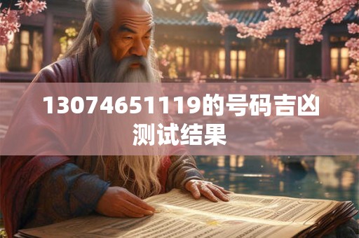13074651119的号码吉凶测试结果