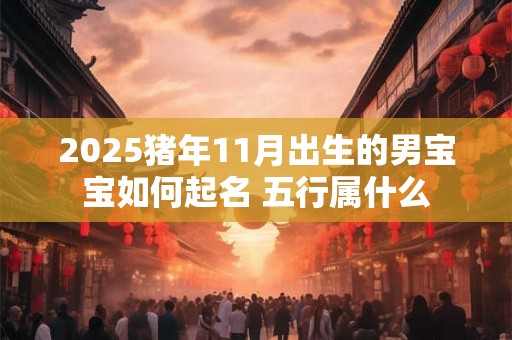 2025猪年11月出生的男宝宝如何起名 五行属什么 2025猪年11月出生的男宝宝如何起名 五行属什么