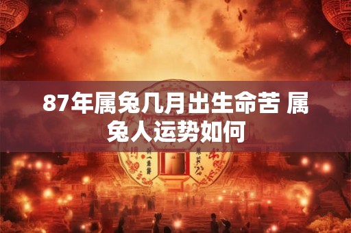 87年属兔几月出生命苦 属兔人运势如何
