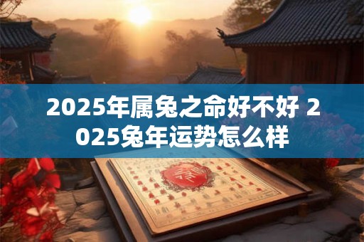2025年属兔之命好不好 2025兔年运势怎么样