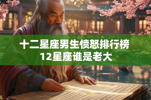 十二星座男生愤怒排行榜 12星座谁是老大