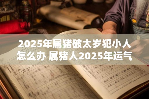 2025年属猪破太岁犯小人怎么办 属猪人2025年运气如何