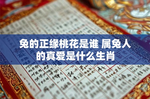兔的正缘桃花是谁 属兔人的真爱是什么生肖