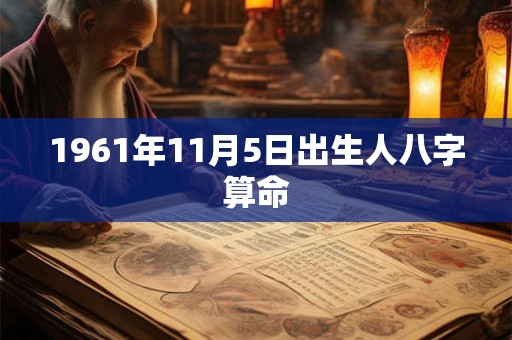 1961年11月5日出生人八字算命
