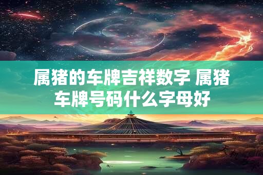 属猪的车牌吉祥数字 属猪车牌号码什么字母好