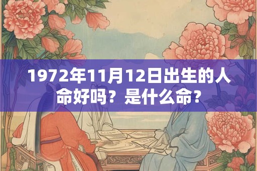1972年11月12日出生的人命好吗？是什么命？