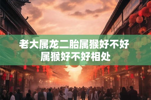 老大属龙二胎属猴好不好 属猴好不好相处