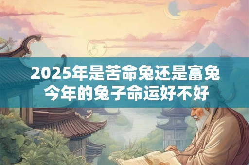 2026年是苦命兔还是富兔 今年的兔子命运好不好 2026年是苦命兔还是富兔 今年的兔子命运好不好