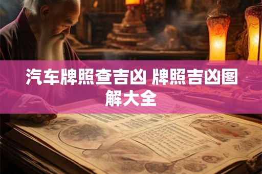 汽车牌照查吉凶 牌照吉凶图解大全