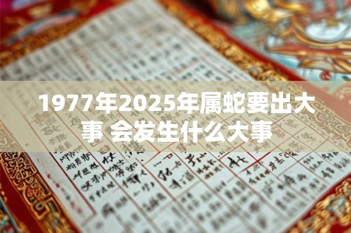 1977年2025年属蛇要出大事 会发生什么大事