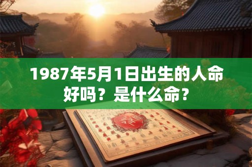 1987年5月1日出生的人命好吗？是什么命？