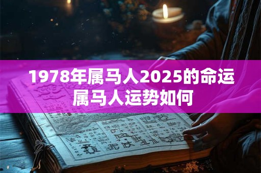 1978年属马人2025的命运 属马人运势如何