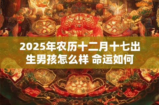2025年农历十二月十七出生男孩怎么样 命运如何