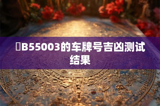 遼B55003的车牌号吉凶测试结果