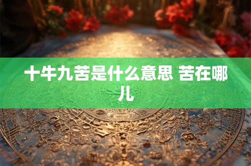 十牛九苦是什么意思 苦在哪儿