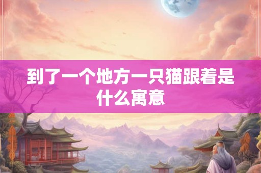 到了一个地方一只猫跟着是什么寓意