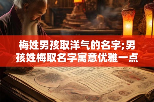 梅姓男孩取洋气的名字;男孩姓梅取名字寓意优雅一点