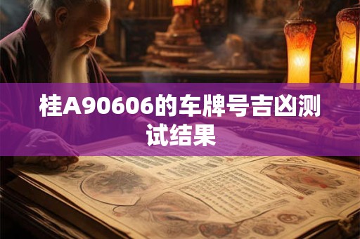 桂A90606的车牌号吉凶测试结果