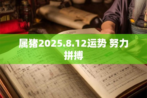 属猪2025.8.12运势 努力拼搏
