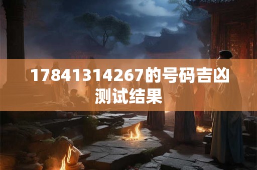 17841314267的号码吉凶测试结果
