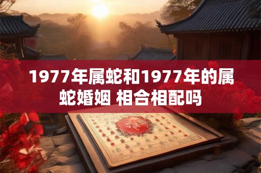 1977年属蛇和1977年的属蛇婚姻 相合相配吗