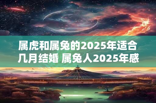 属虎和属兔的2025年适合几月结婚 属兔人2025年感情顺利吗