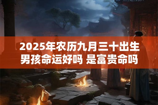 2025年农历九月三十出生男孩命运好吗 是富贵命吗