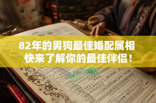 82年的男狗最佳婚配属相 快来了解你的最佳伴侣！