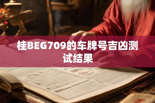 桂BEG709的车牌号吉凶测试结果