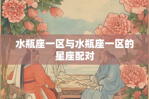 水瓶座一区与水瓶座一区的星座配对