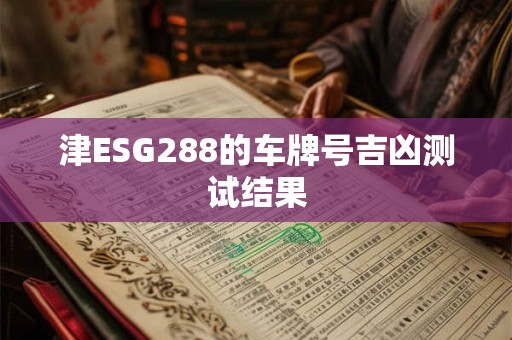 津ESG288的车牌号吉凶测试结果