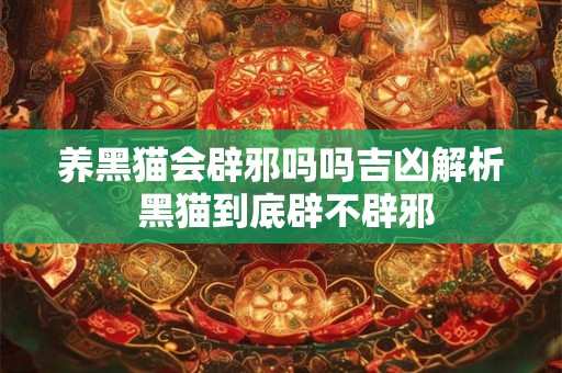 养黑猫会辟邪吗吗吉凶解析 黑猫到底辟不辟邪