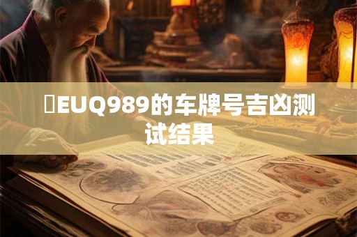 滬EUQ989的车牌号吉凶测试结果