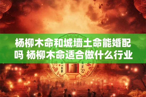 杨柳木命和城墙土命能婚配吗 杨柳木命适合做什么行业