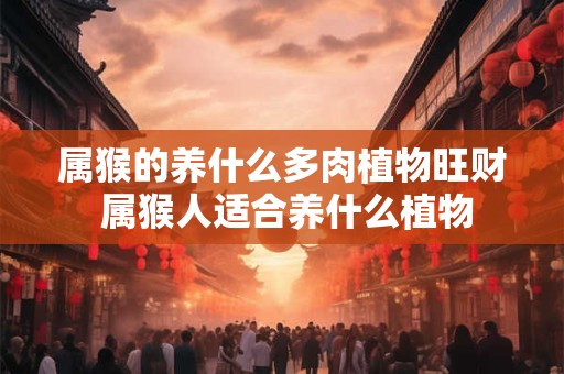 属猴的养什么多肉植物旺财 属猴人适合养什么植物