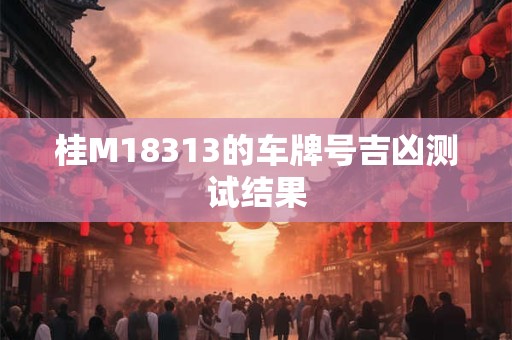 桂M18313的车牌号吉凶测试结果