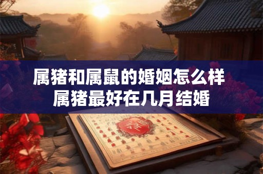 属猪和属鼠的婚姻怎么样 属猪最好在几月结婚 属猪和属鼠的婚姻怎么样 属猪最好在几月结婚