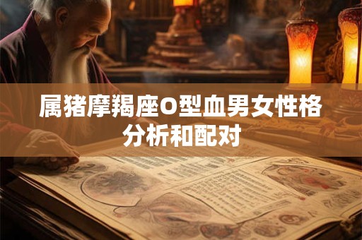 属猪摩羯座O型血男女性格分析和配对