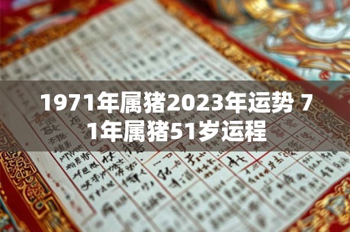 1971年属猪2023年运势 71年属猪51岁运程