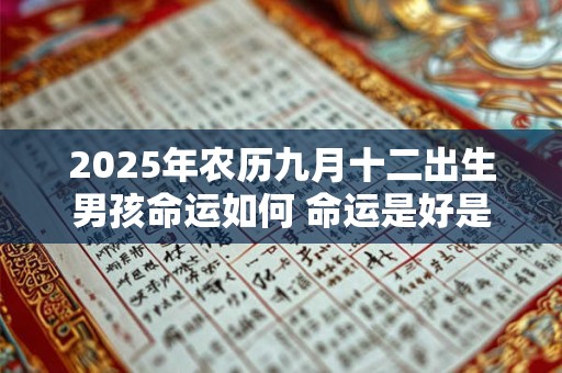 2025年农历九月十二出生男孩命运如何 命运是好是坏