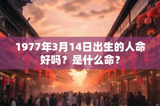 1977年3月14日出生的人命好吗？是什么命？